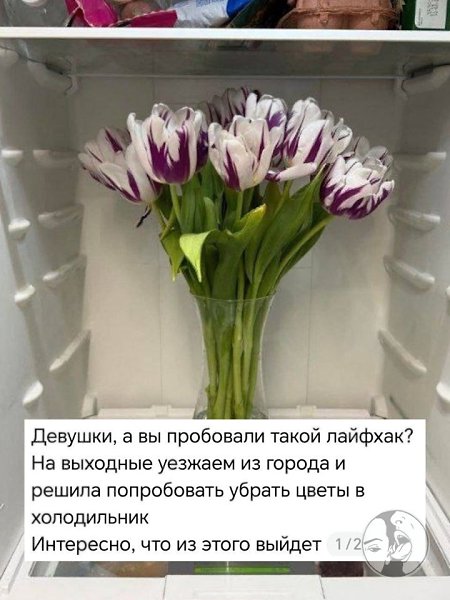 � �������� �������� ������������ ������� �������: ����� ����� ������ ��������� ������, ��� ������ � ... - 2