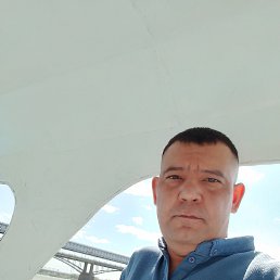 , 37, 