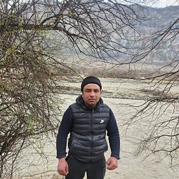 , 37, 