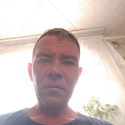 , 40, 