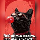 ���� �������, �������� - ��������� 30 ���� 2026 � ������ �������