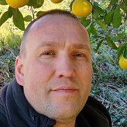 �����, 38 ���, �������