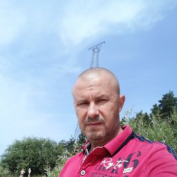 , 52, 