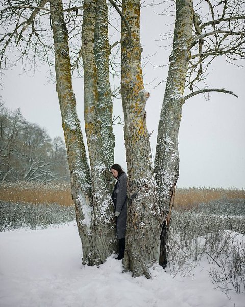 ������ ���������� ����.������ ������-���. �������, ��������, � ������������ � �����. ��� ...