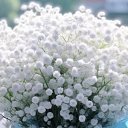 ���� ����������, �������, 49 ��� - ��������� 7 ������ 2026