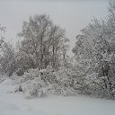 ���� ������, �������, 68 ��� - ��������� 8 ������� 2025 � ������ ���� ����������