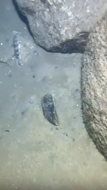 ��������� ����� �� ������