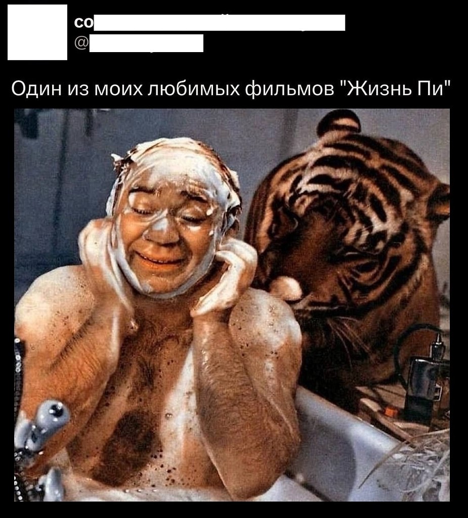 ���� - 11 �������� 2025 � 23:26