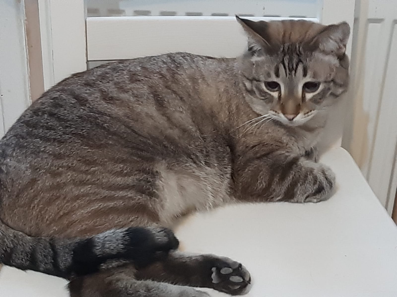 ** - 13  2025  21:46