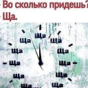  Sunshine, , 49  -  2  2025    