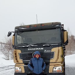 , 41, 