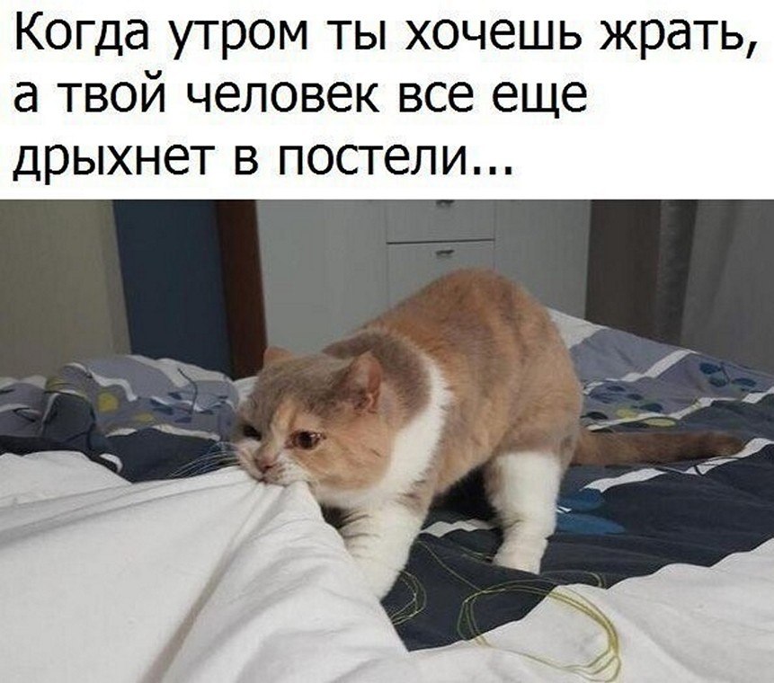 ? ,  ! - 24  2025  04:37