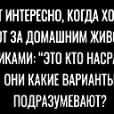 ���� ������, ������, 62 ���� - ��������� 9 ������ 2026 � ������ ������ ��������