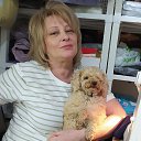 ���� �������, �����, 51 ��� - ��������� 12 ������ 2025 � ������ ���� ����������