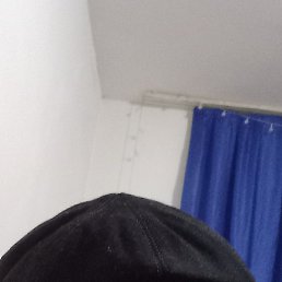 �����, ������, 54 ����