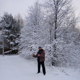 , 37, 