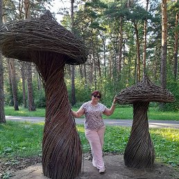 , 58, 