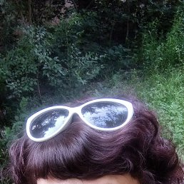 , 41, 