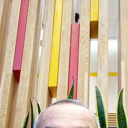 ���� ����, �����-���������, 49 ��� - ��������� 23 ������� 2023