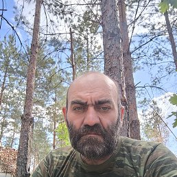 ��, 46 ���, ������