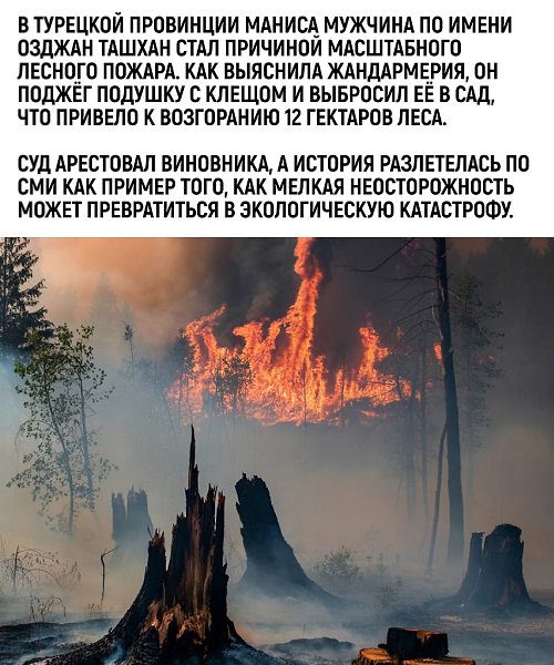 �e� c�ope� c �ec���. �ec�e c 12 �e��apa�� � pe���a��e� ����a�a - 2