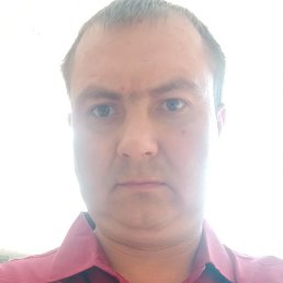 ��������, �����, 41 ���