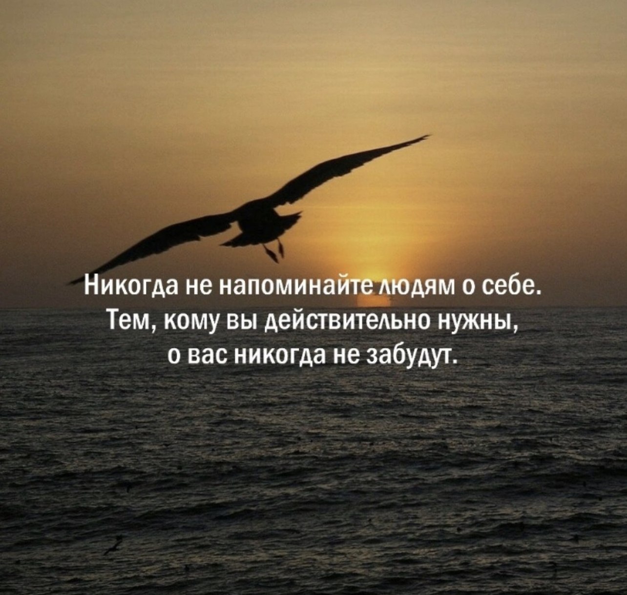 Orlica - 13  2024  18:40