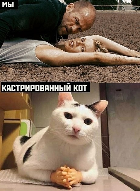  - 4  2025  08:32