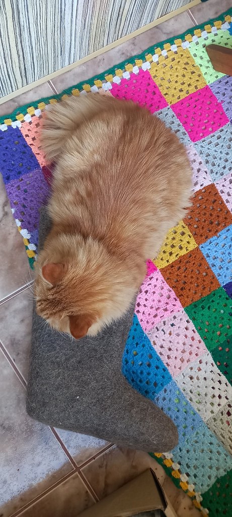  ,  , 