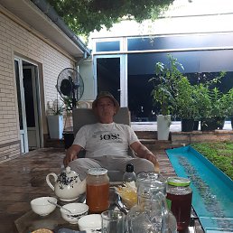 , 37, 