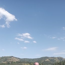 , 62, 