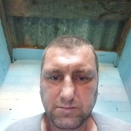 , 40, 
