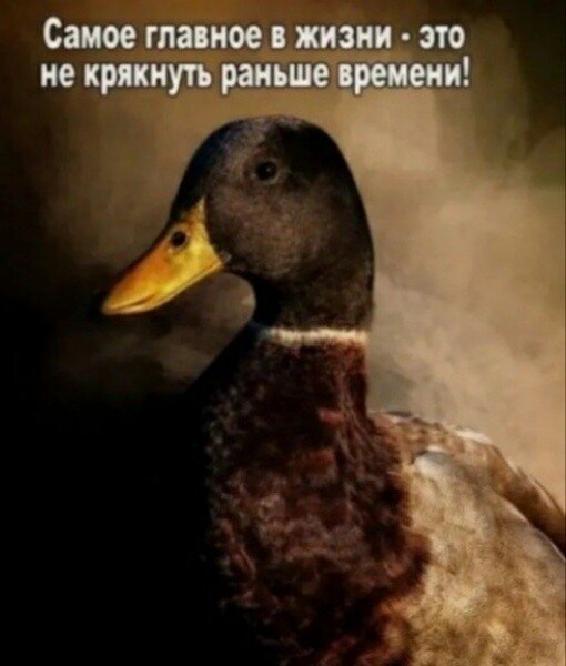 ***Victoria Viktorovna*** - 26  2023  16:57