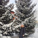���� ��� �, ������, 56 ��� - ��������� 8 ������ 2026 � ������ ���� ����������