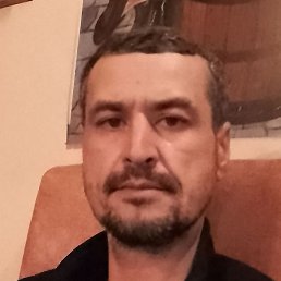 ����, ������, 41 ���