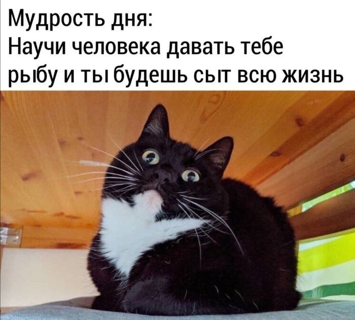    - 2  2024  22:34