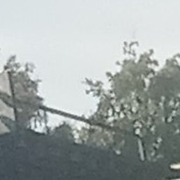 ����, ���������, 44 ����