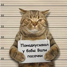 Al, , 52 