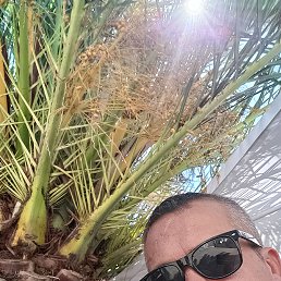 , 46 ,  