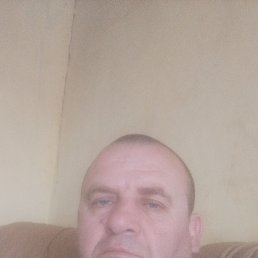 , 34, 