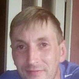 , 43, 