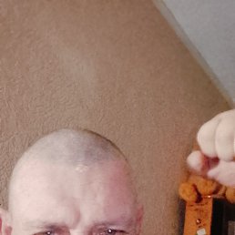 ����, 50 ���, ���������