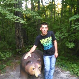 ���������, 34 ����, �������