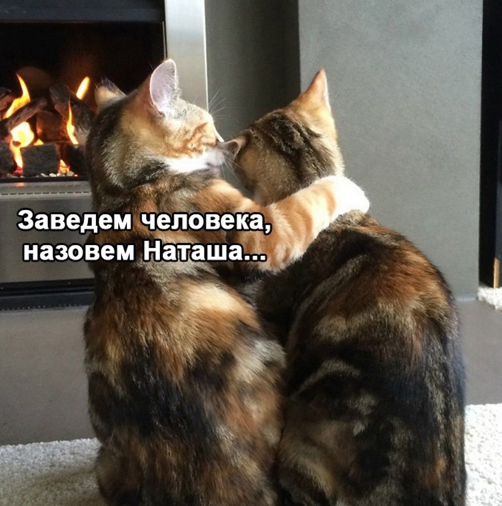  ,     - 2