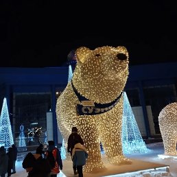 ���� �������, ������, 41 ��� - ��������� 2 ������ 2024