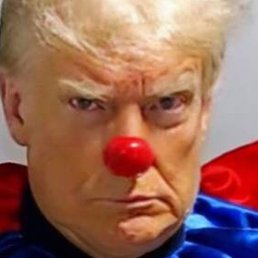 �����, �����������, 51 ���