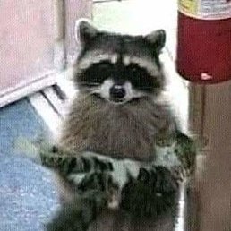 �������, ������, 45 ���