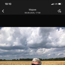 , 61, 