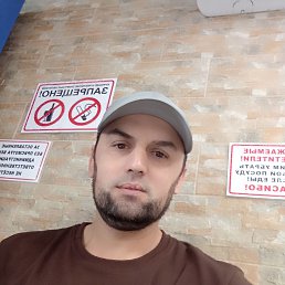 ���� �����, ������, 34 ���� - ��������� 14 ������� 2026