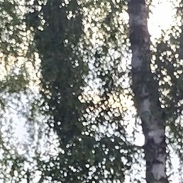 , , 20 
